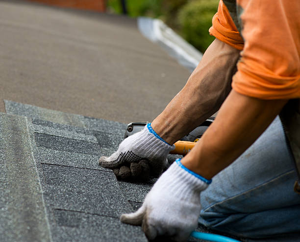 Best New Roof Installation  in Frackville, PA
