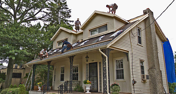 Best Storm Damage Roof Repair  in Frackville, PA